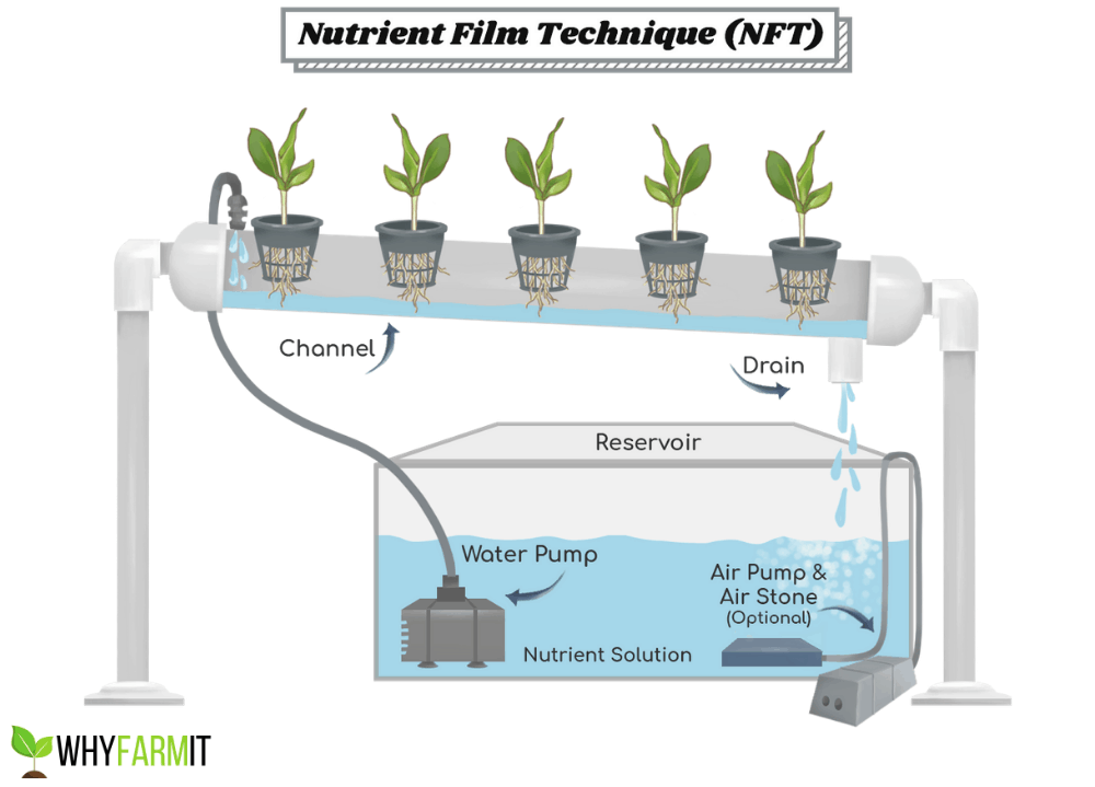 Как генерировать nft картинки