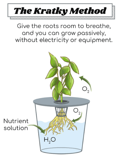 How The Kratky Method Works