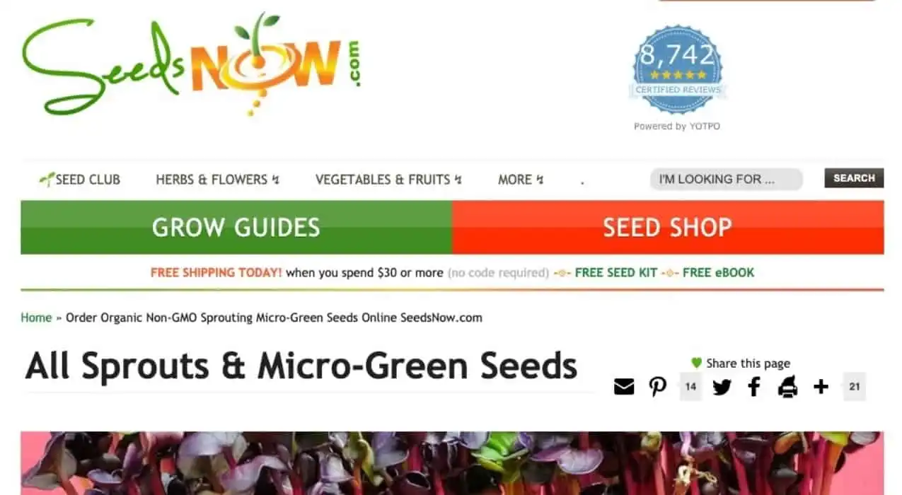 SeedsNow.com | Organic, Non-GMO Microgreen & Sprouting Seeds Online
