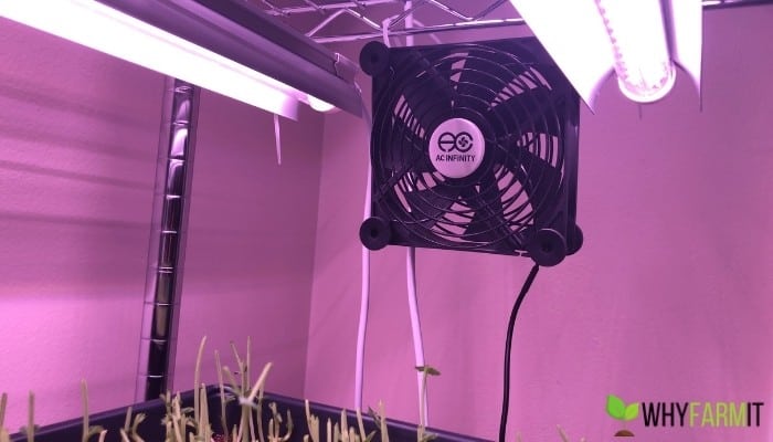 Small Fan For Growing Microgreens