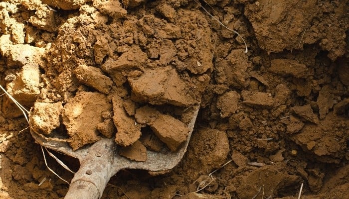 A shovel scooping up a load of clay soil.