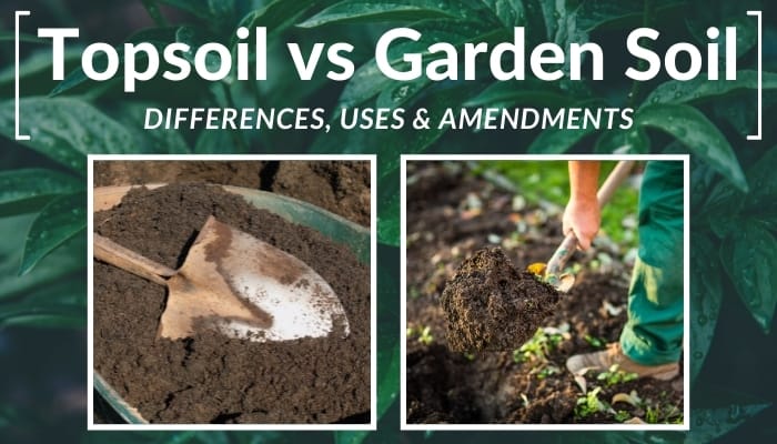 Topsoil vs. Garden Soil: Differences, Uses, Amendments