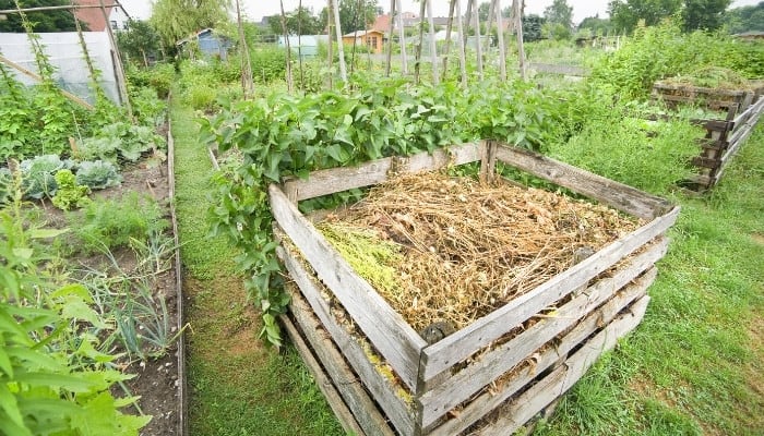 A wooden compost bin set among an idyllic vegetable garden.