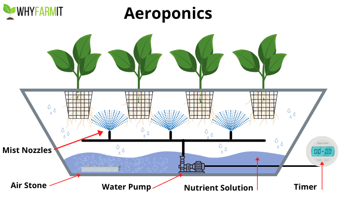 Diagram showing the basics of aeroponics