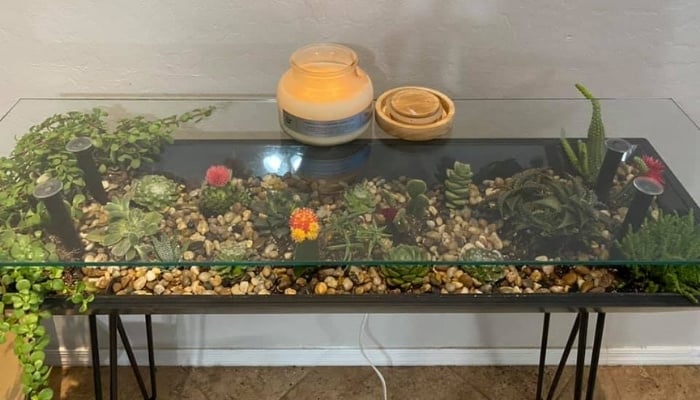 Living Terrarium Table With Succulents