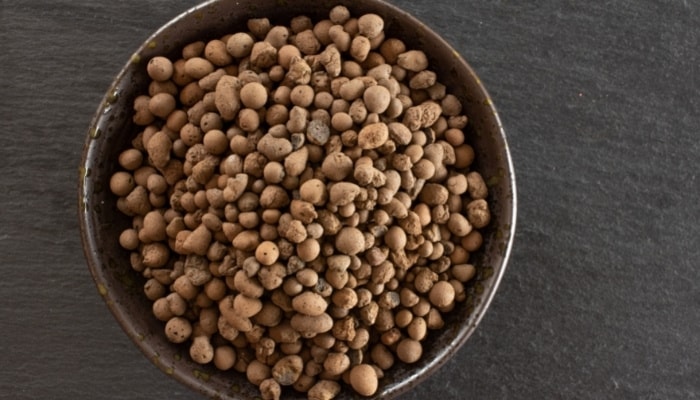 Bowl of LECA Clay Balls