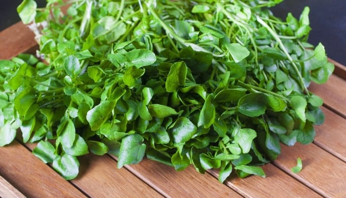 A heap of fresh watercress on a cutting board with wood slats.