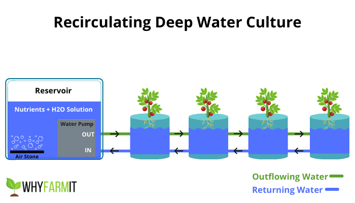 RDWC System Diagram