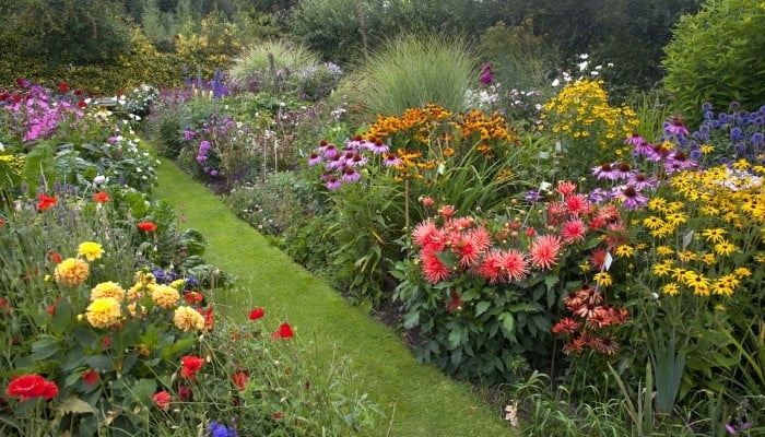 A lovely cottage garden overflowing with colorful blooms.