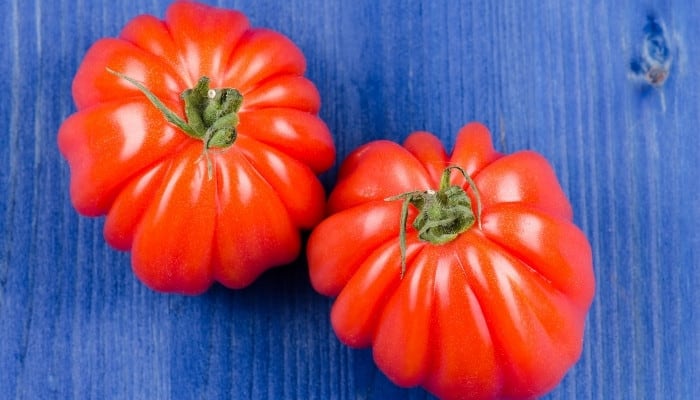 Two large beefsteak tomatoes on a blue wooden table.