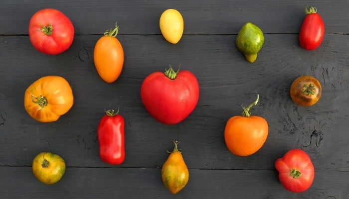 An assortment of various heirloom tomatoes on a black wooden table.