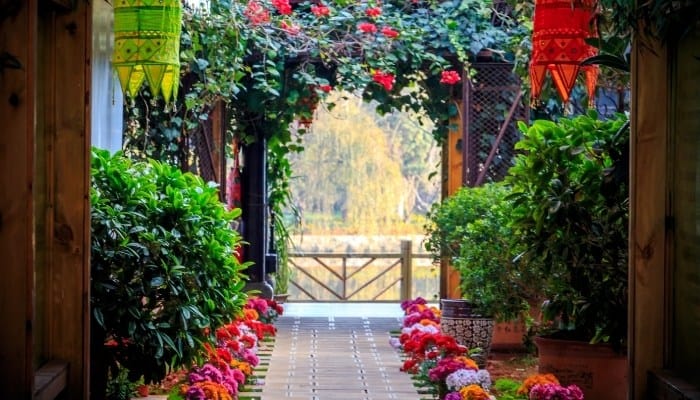 A small garden in China with colorful flowers.