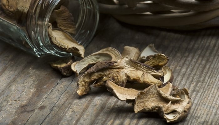 Can You Grow Mushrooms From Dried Mushrooms? Here’s How