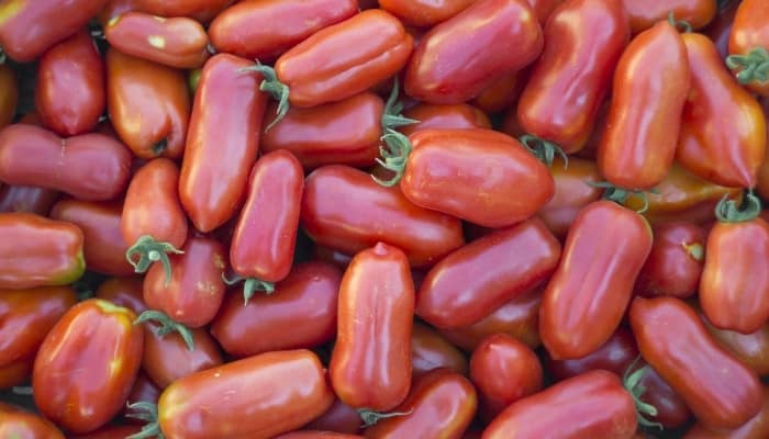 Where To Find Top-Quality San Marzano Tomato Seeds