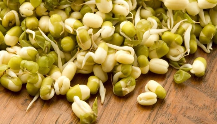 Best Sources for Mung Bean Seeds + Instructions for Growing