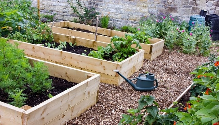 A garden area with several raised beds made of wood.
