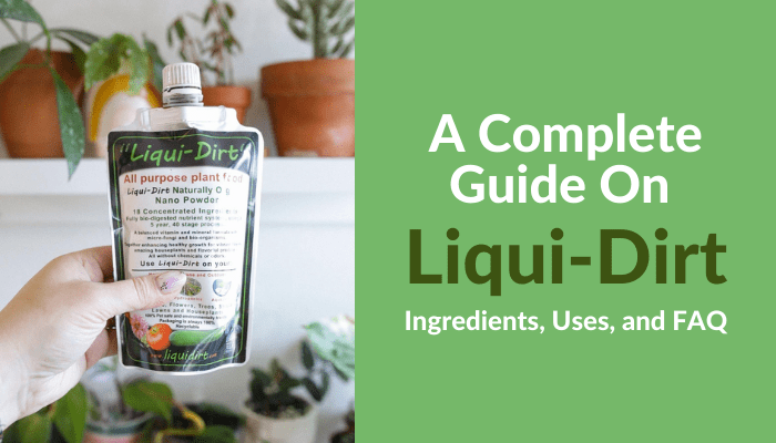 Complete Guide to Liqui-Dirt: Ingredients, How To Use & More