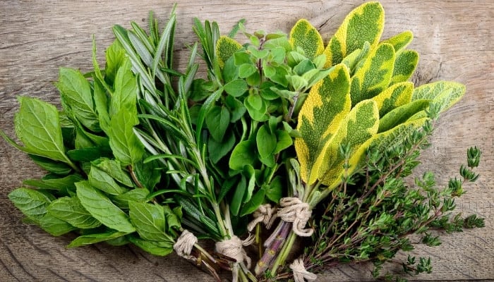 Several different herbs that were just harvested and tied with twine.