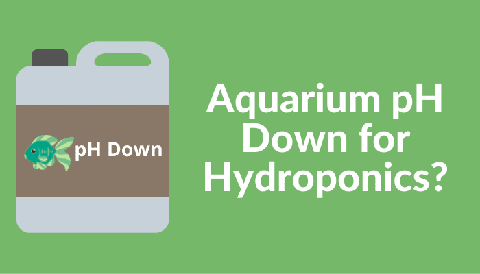 Can You Use Aquarium pH Down for Hydroponics? It Depends…