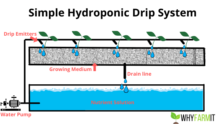 Graphic showing a simple hydroponic drip system