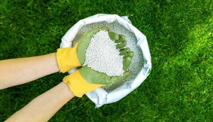 Two gloved hands holding fertilizer granules over the open bag.