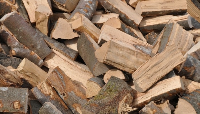 A pile of beech firewood.