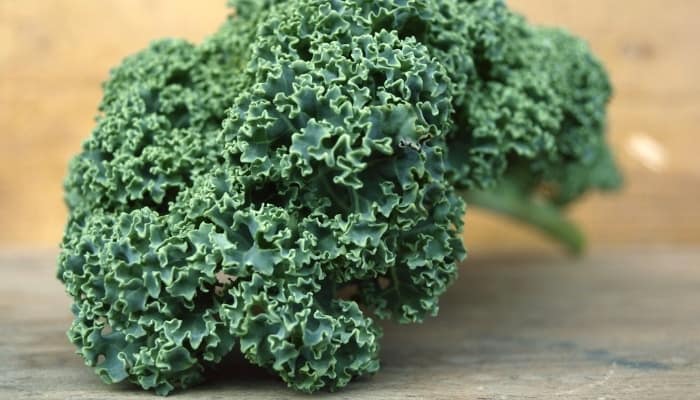 A single leaf of curly kale on a table.