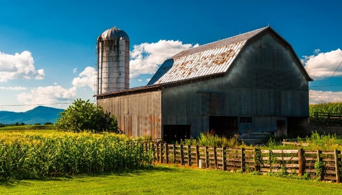 An old barn in Virginia with a silo and corn field.