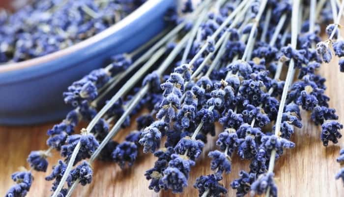 Multiple stalks of dried lavender with lavender buds in a bowl showing in the background.