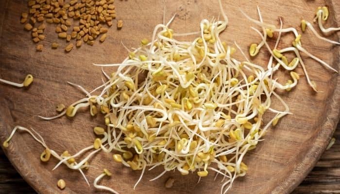 A pile of fenugreek sprouts on a table besides some seeds.