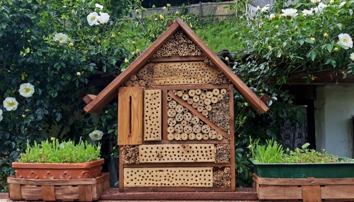 A cute mason bee house situated between two planting boxes.