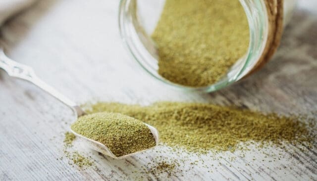 Using Kelp Meal for Plants: Benefits & Directions for Use - WhyFarmIt.com