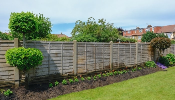 A tall wooden fence with a border garden below.