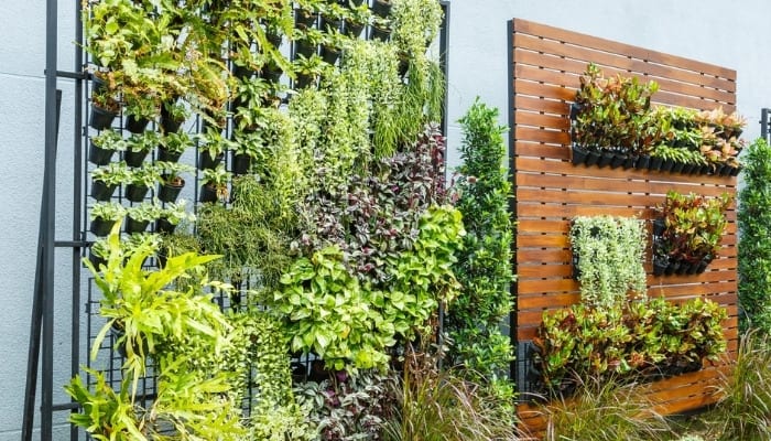 Two vertical garden wall structures standing side by side.