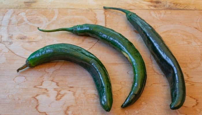 Three fresh chilaca chili peppers on a wood table.