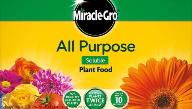 Using Miracle Gro Plant Food for Grass (& Better Options)
