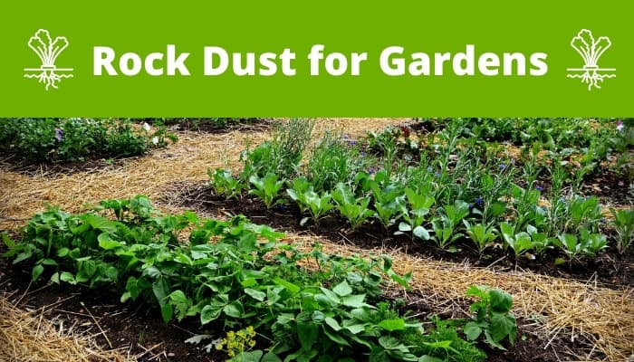 Rock dust for gardens