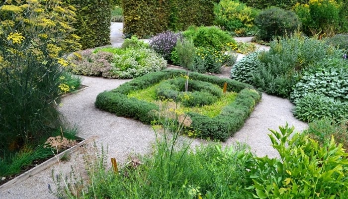 A large formal herbal garden with a variety of different plants in several neatly trimmed beds.