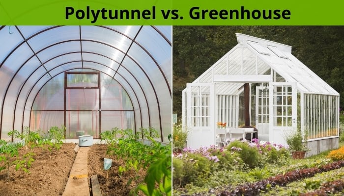 A polytunnel on the left and a greenhouse on the right.