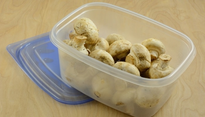 Freshly harvested mushrooms in a plastic container on a counter.