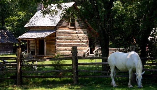 Homesteading In Tennessee Laws Land Resources More WhyFarmIt