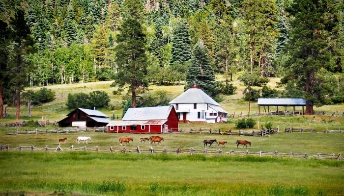 A small homestead in Colorado with horses grazing in a pasture.