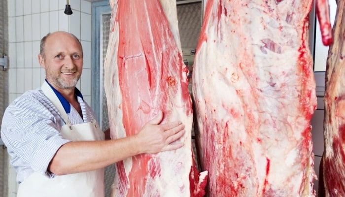 A butcher standing beside two hanging beef carcasses.