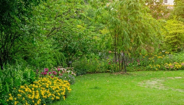 Lush landscaping in a backyard with flowers, shrubs, and trees.