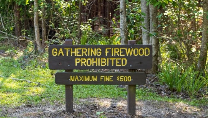 A large sign prohibiting firewood collection with penalties stated.