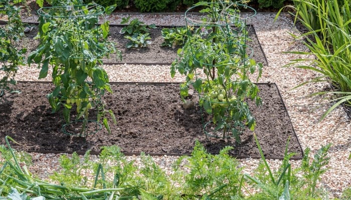 Low metal edging defines several garden spaces and gravel pathways.