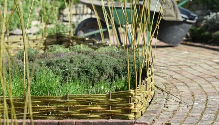 Woven branch or wattle garden fence in progress around a small garden.