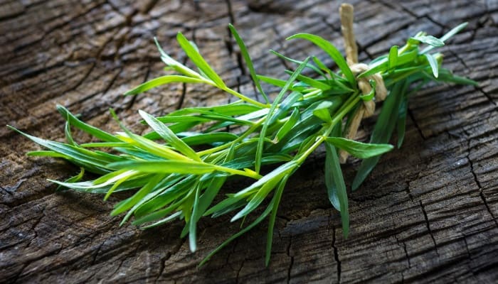 A bunch of fresh tarragon resting on a tree stump.