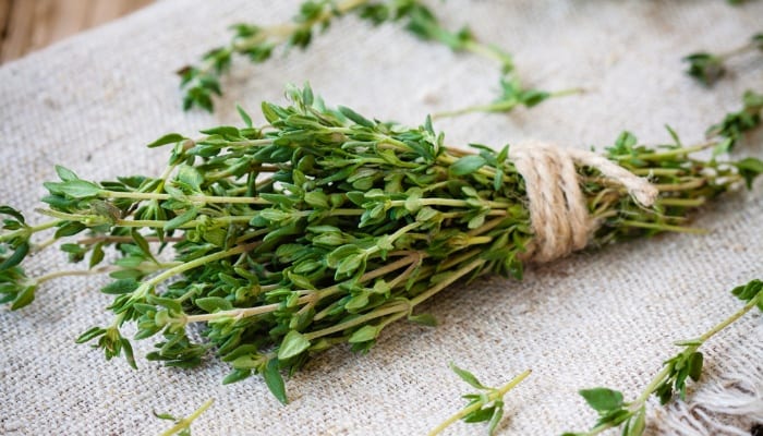 A bunch of fresh thyme with several loose stalks resting on a white table runner.