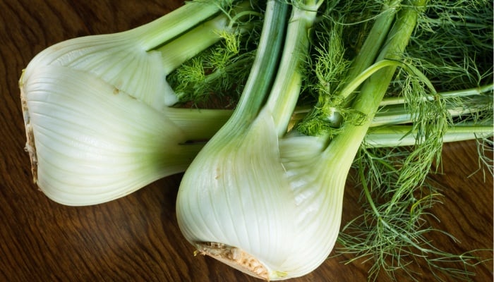 Two bulbs of fresh fennel with leaves still attached.